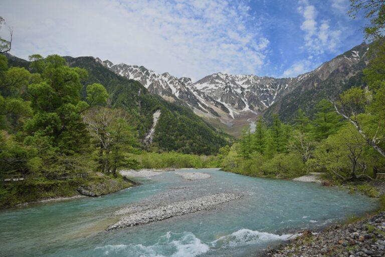 Spring Green Follows Stormy Weather – Japan Alps Kamikochi Official Website